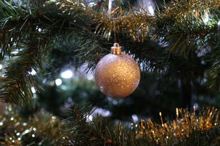 Supporting Veterans and Mental Health Through Flocked Christmas Trees